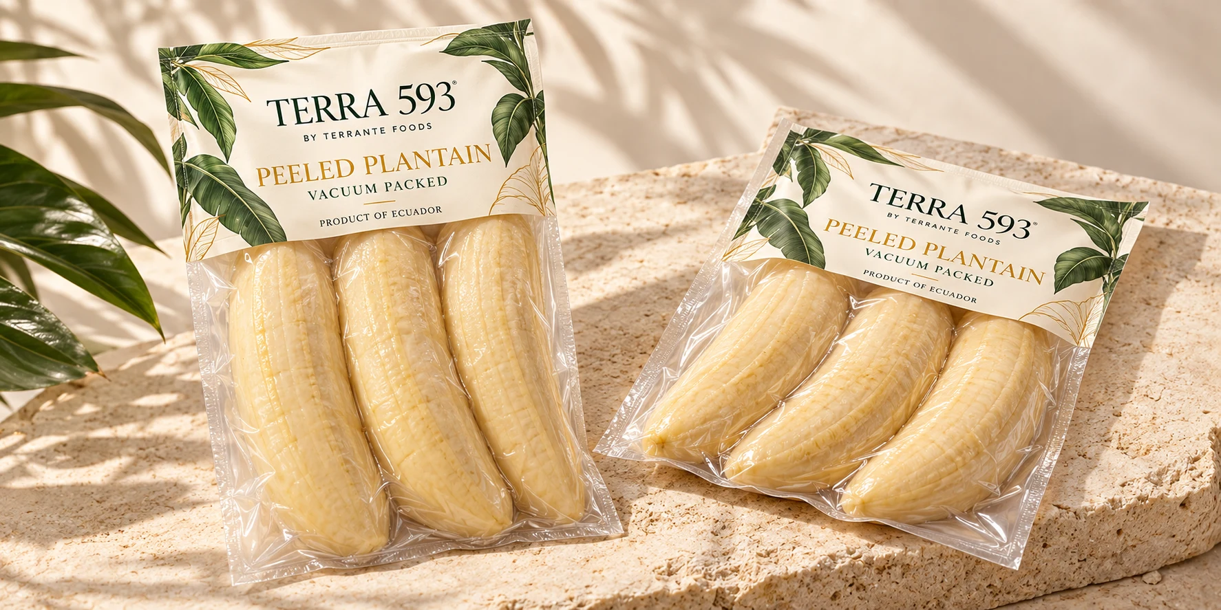 Terra 593 peeled plantain vacuum packaging concept with transparent bag